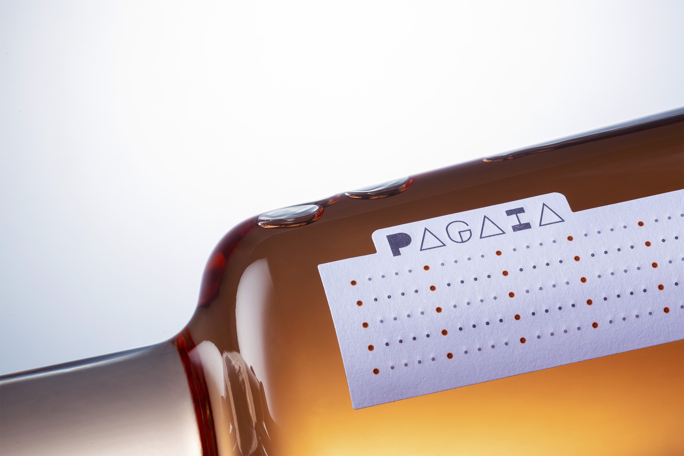 Pagaia. Forță și direcție — 2