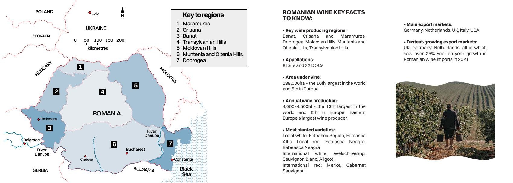 Harta regiunilor viticole