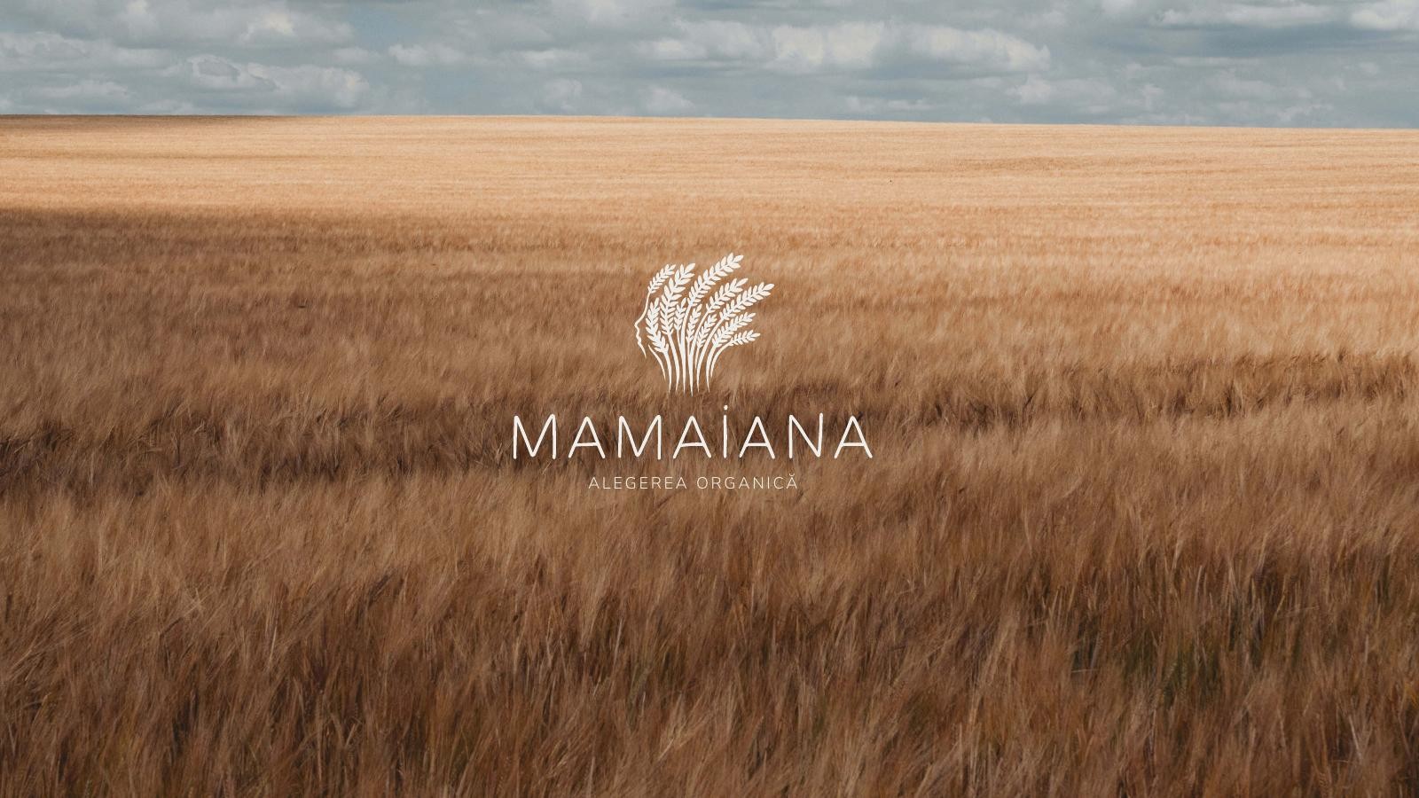 Mamaiana — O identitate de brand alimentar caldă și lizibilă, construită pentru raft.